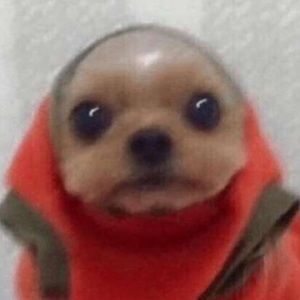 Meet your Posher, Araceli